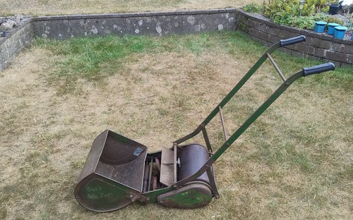 Panther push qualcast lawn - push,